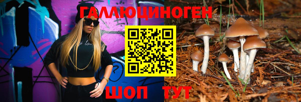 Камышлов  Галлюциногенные грибы мухоморы  закладки  Вход с VPN 