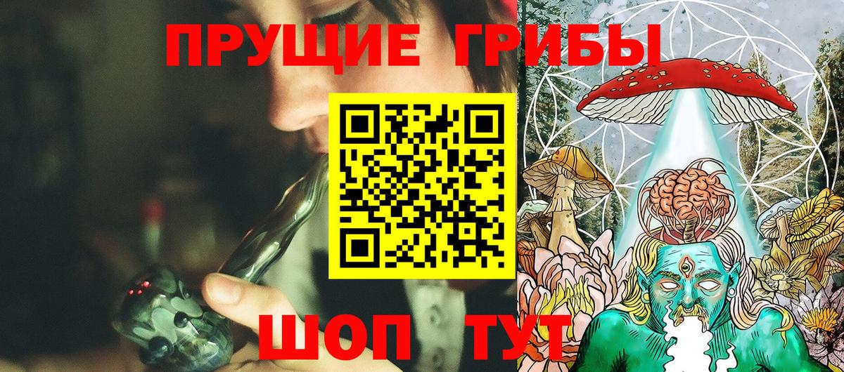 Галлюциногенные грибы Cubensis Камышлов